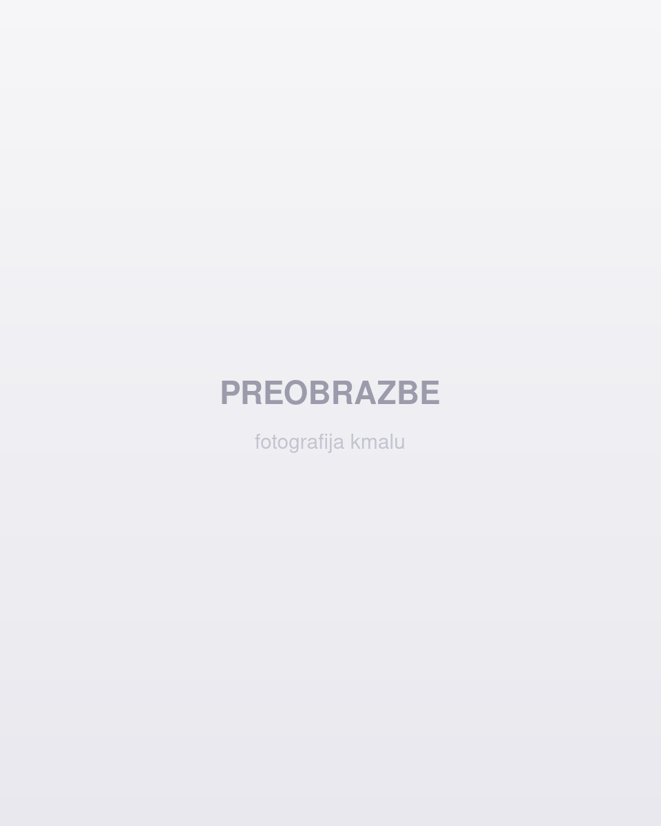 Preobrazbe strank