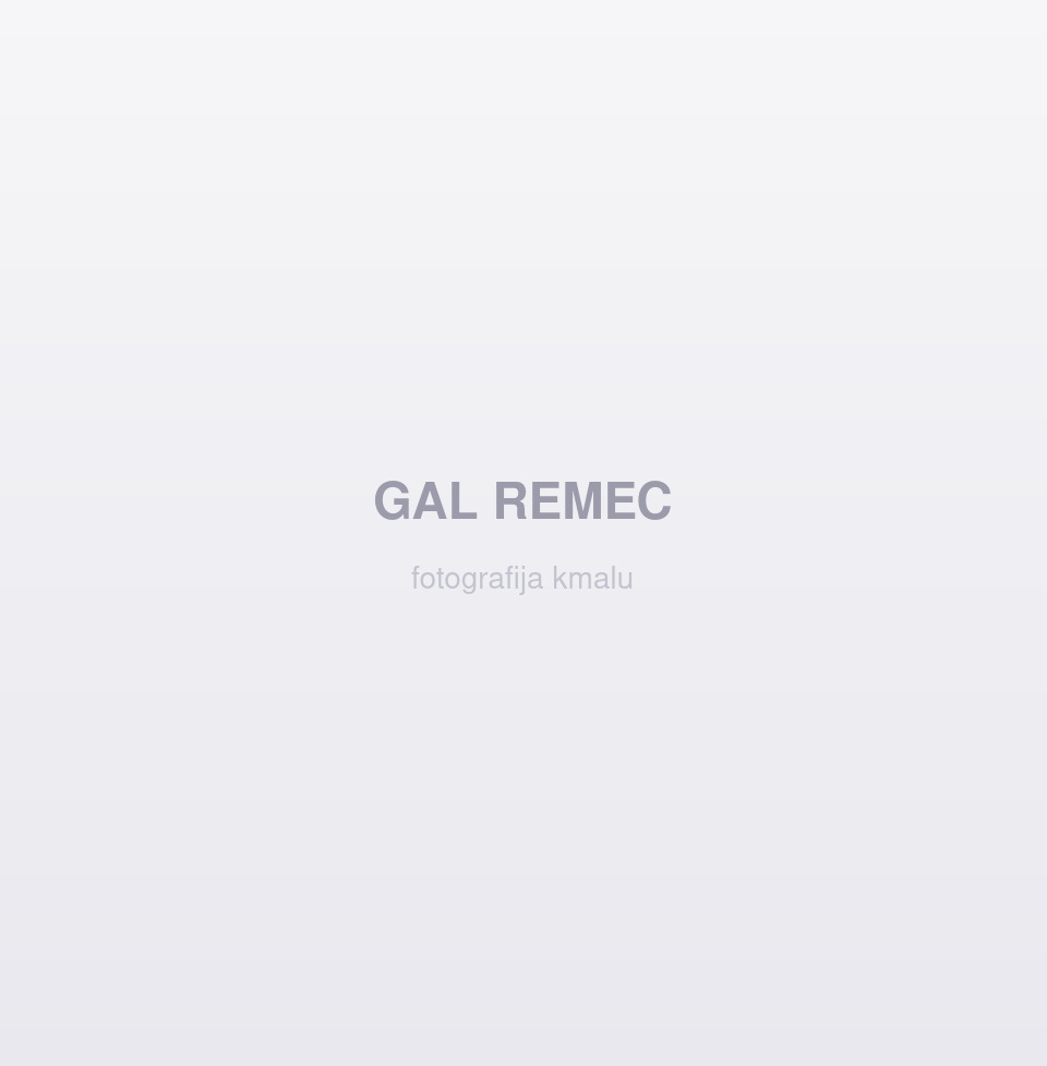 Gal Remec